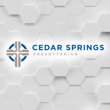 Saratoga Software - Case Study - Cedar Springs
