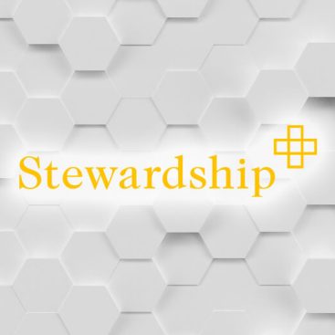 Saratoga Software - Case Study - Stewardship